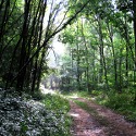 promenade autour de Divali